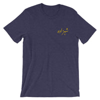 Dark Slate Gray Men's Shahzada T-Shirt