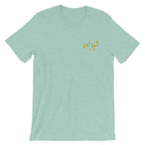 Gray Men's Shahzada T-Shirt