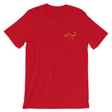 Firebrick Men's Shahzada T-Shirt