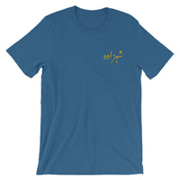 Dark Slate Blue Men's Shahzada T-Shirt